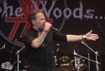woods7