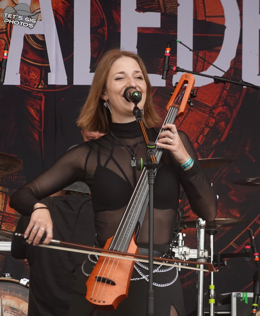 Photo: img/verm06.jpg