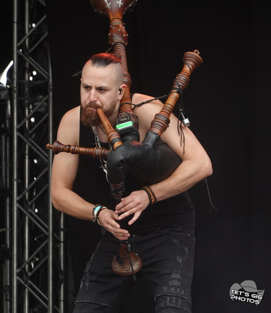 Photo: img/verm07.jpg