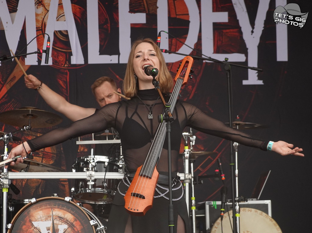 Photo: img/verm10.jpg