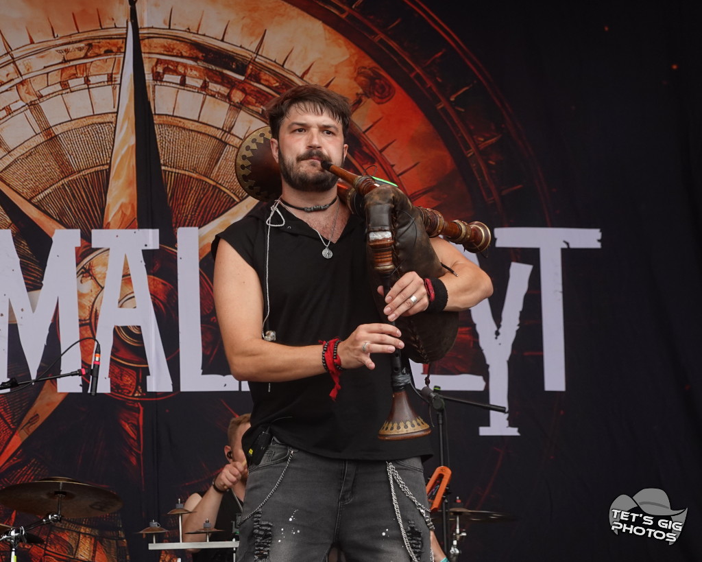 Photo: img/verm11.jpg