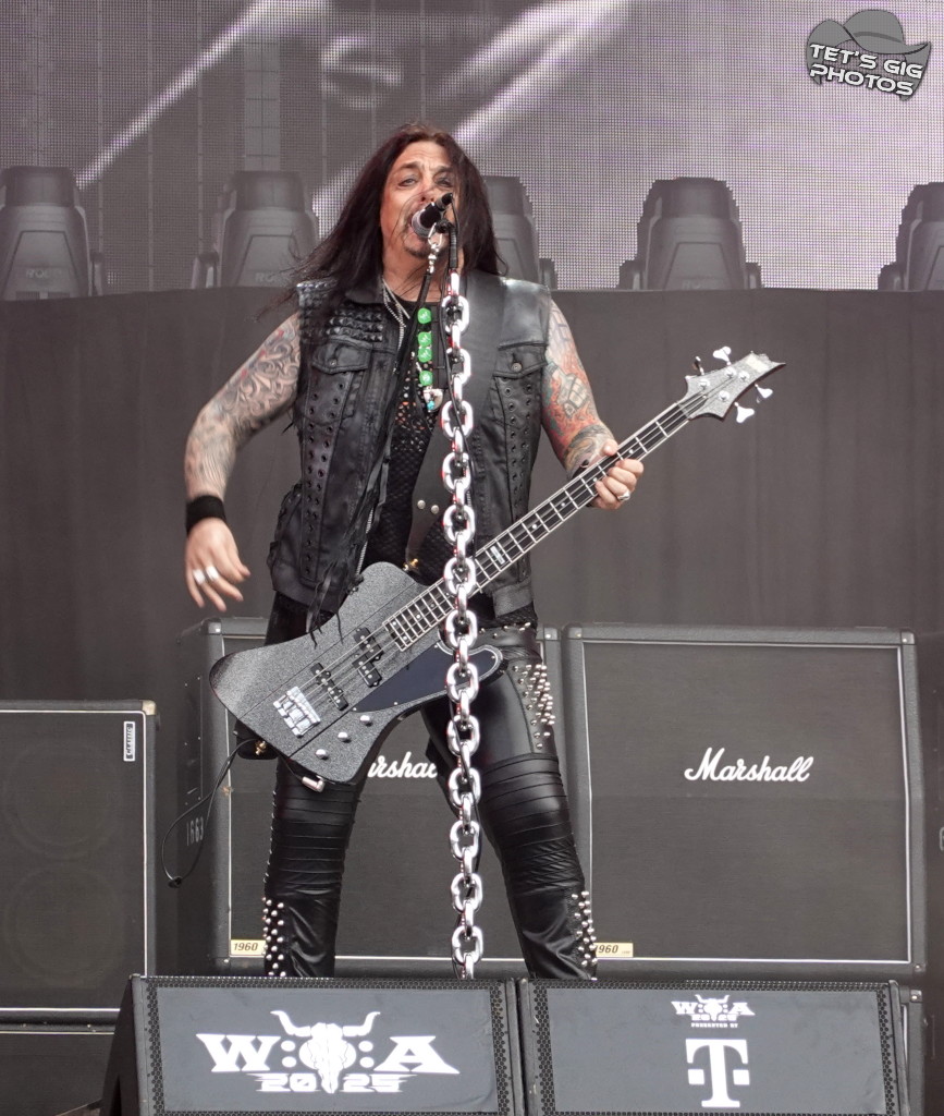 Photo: img/wasp05.jpg