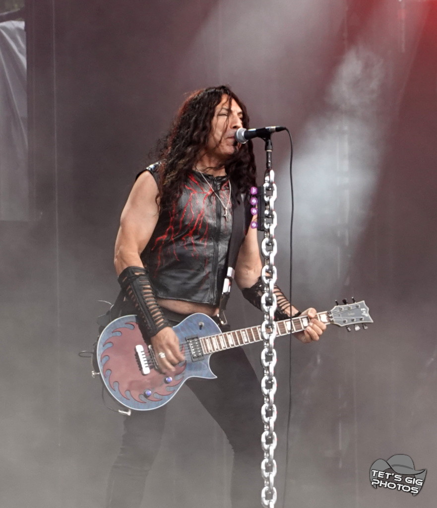 Photo: img/wasp07.jpg