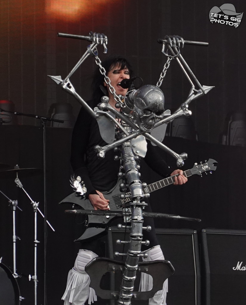 Photo: img/wasp08.jpg