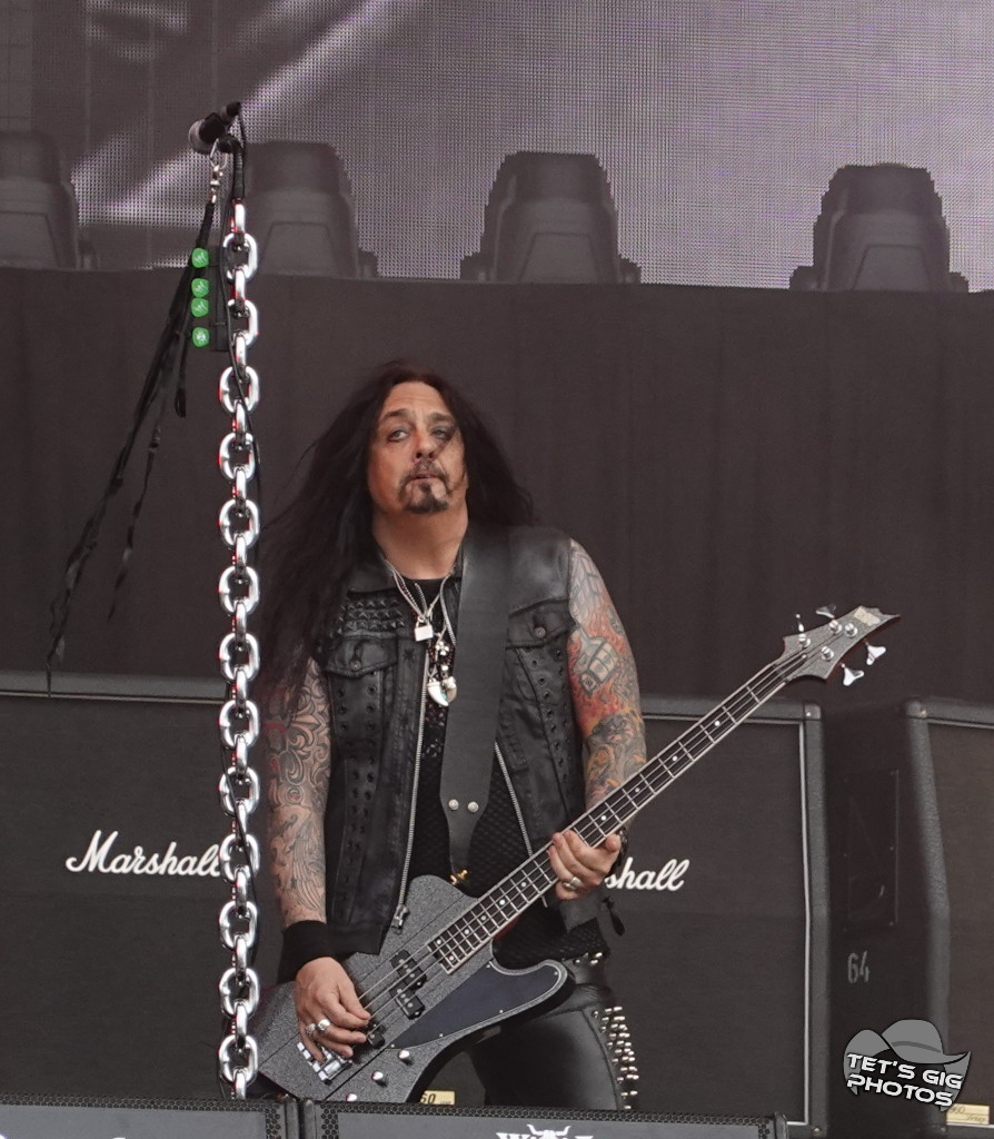 Photo: img/wasp09.jpg