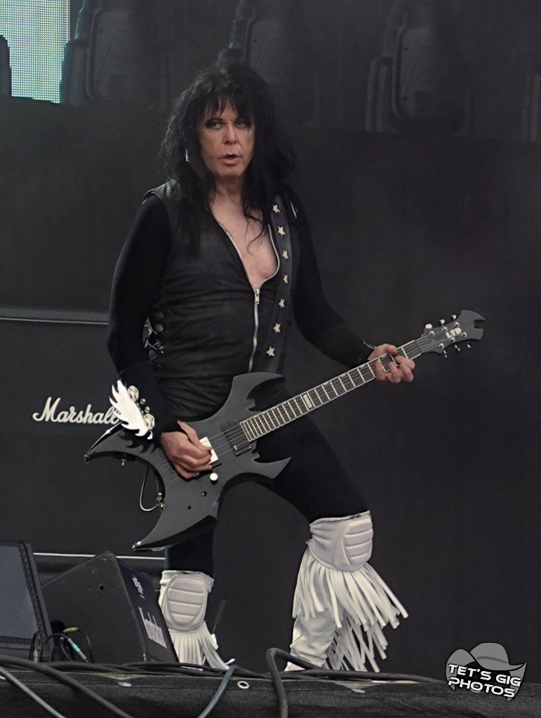 Photo: img/wasp10.jpg