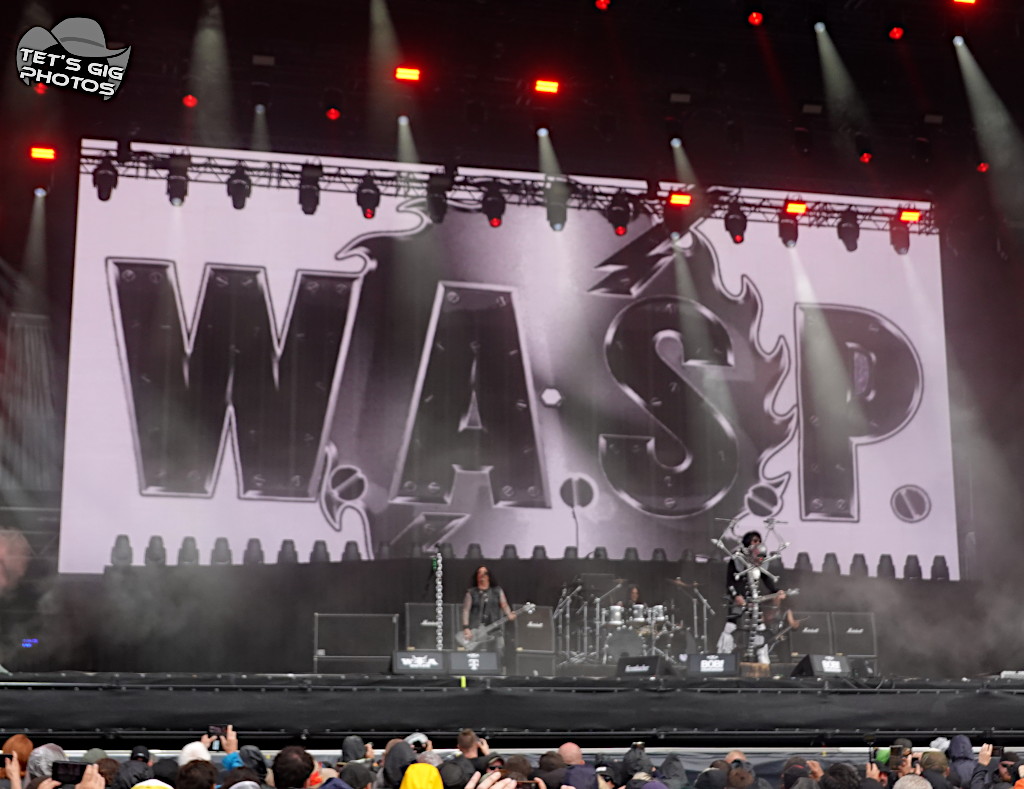 Photo: img/wasp11.jpg
