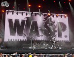 wasp11