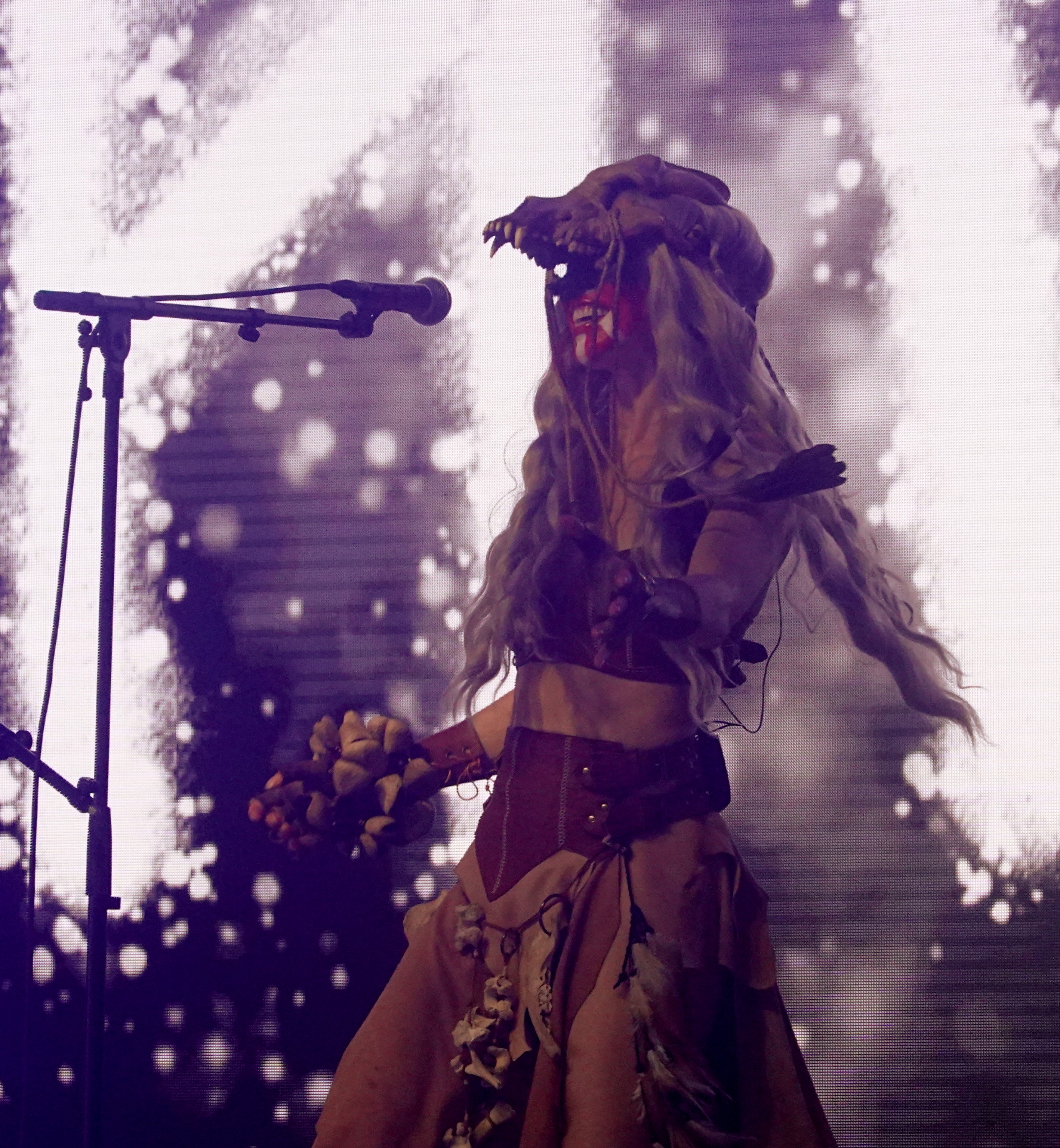 Photo: img/eihwar1.jpg