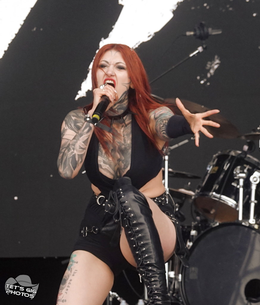 Photo: img/cage1.jpg