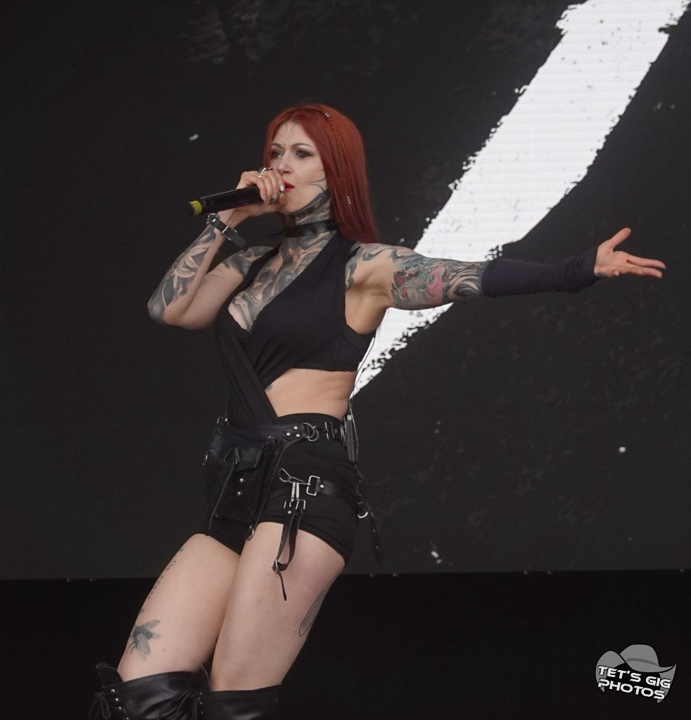 Photo: img/cage4.jpg