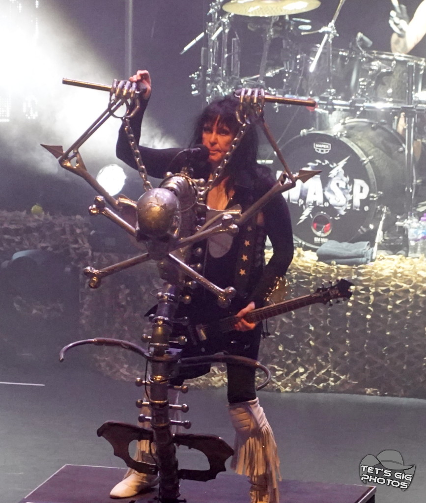 Photo: img/wasp01.jpg