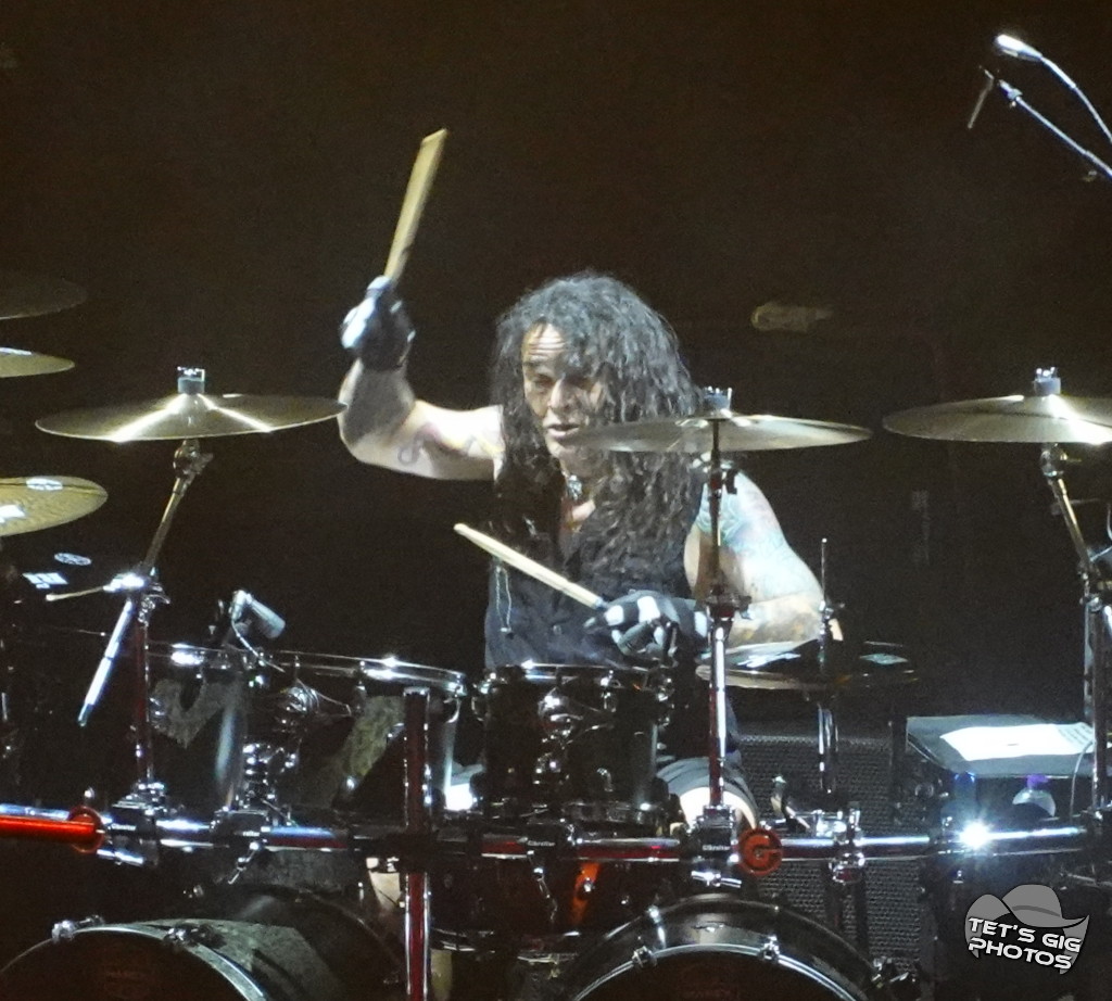 Photo: img/wasp05.jpg