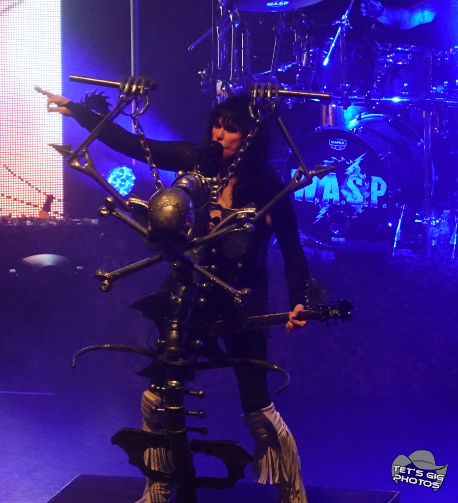 Photo: img/wasp06.jpg