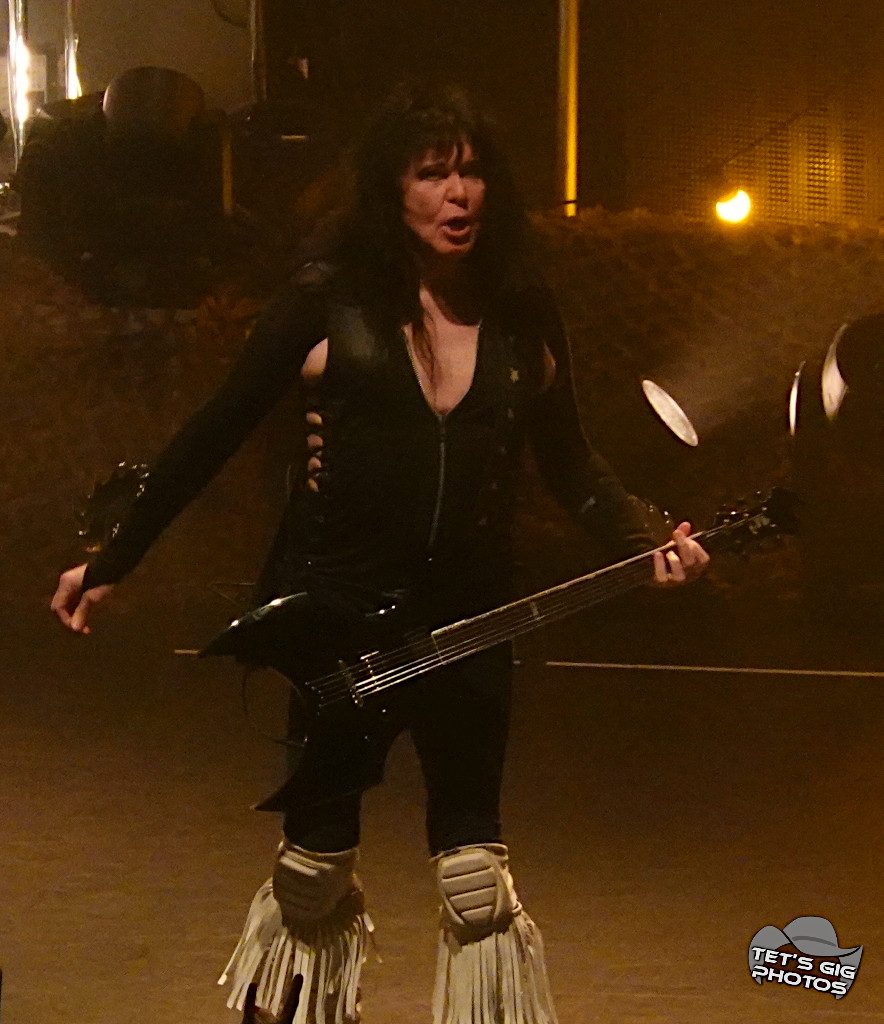 Photo: img/wasp07.jpg