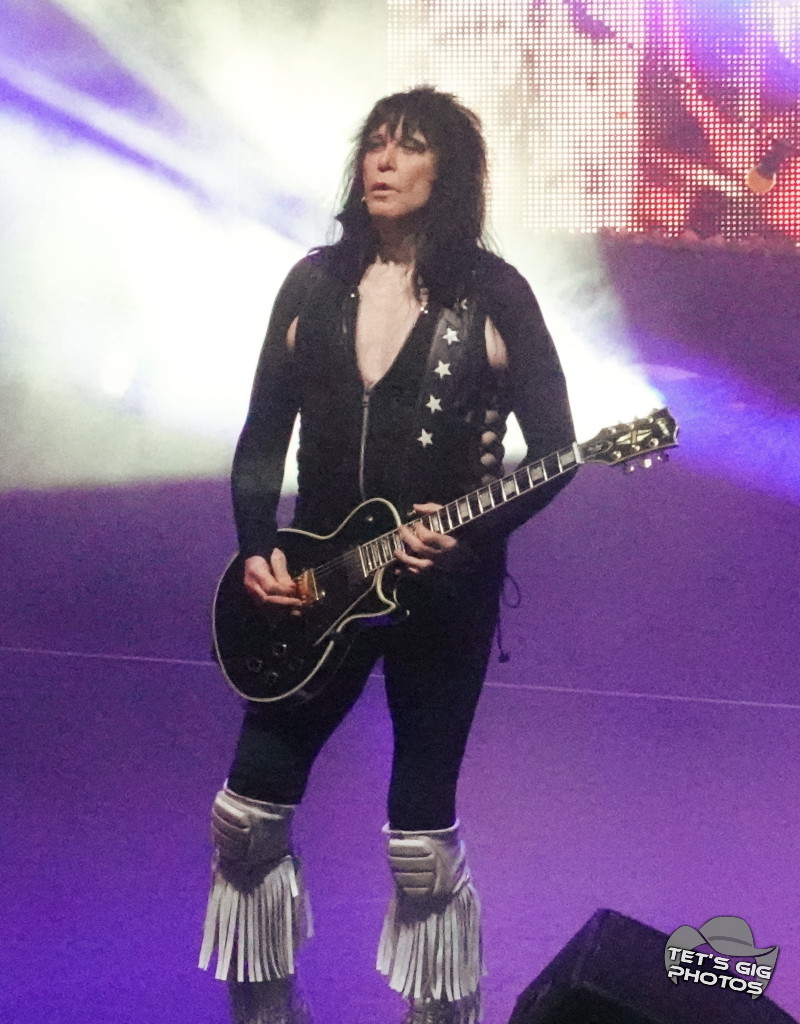 Photo: img/wasp11.jpg