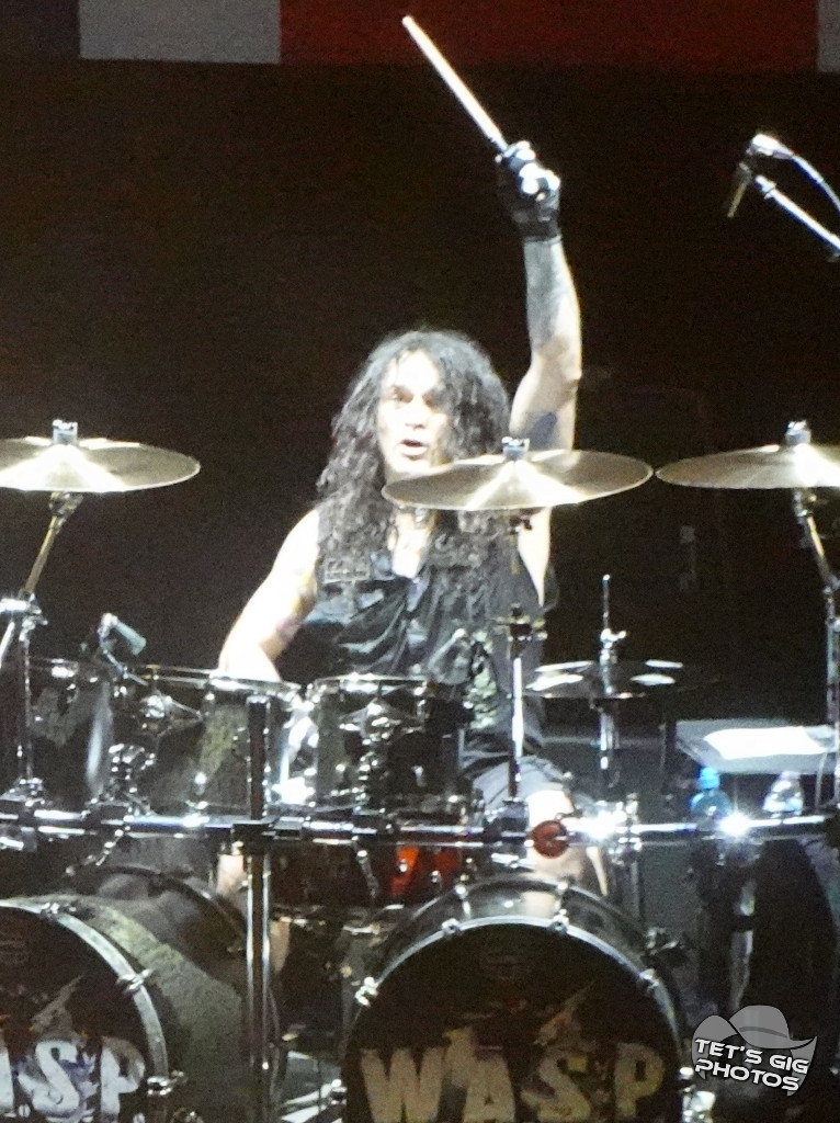 Photo: img/wasp12.jpg