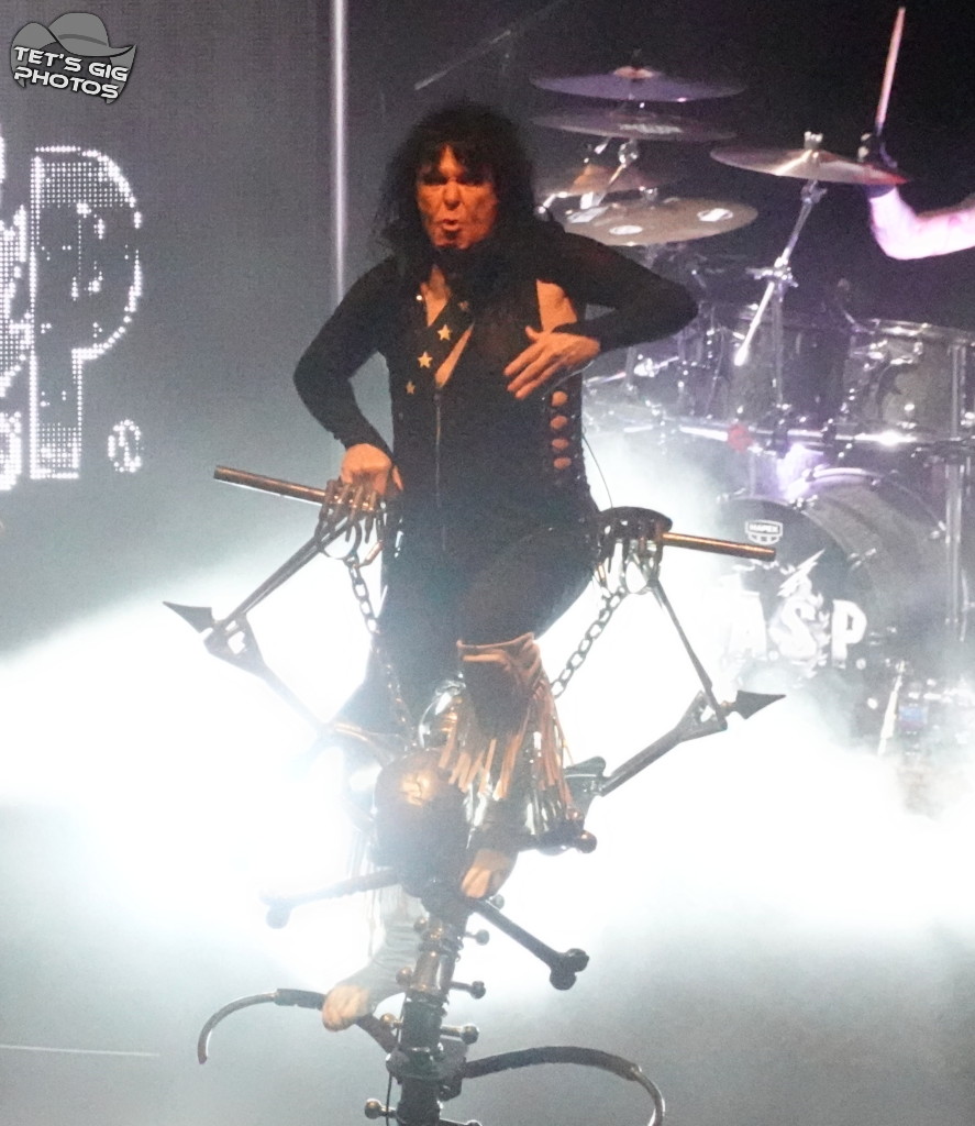 Photo: img/wasp13.jpg