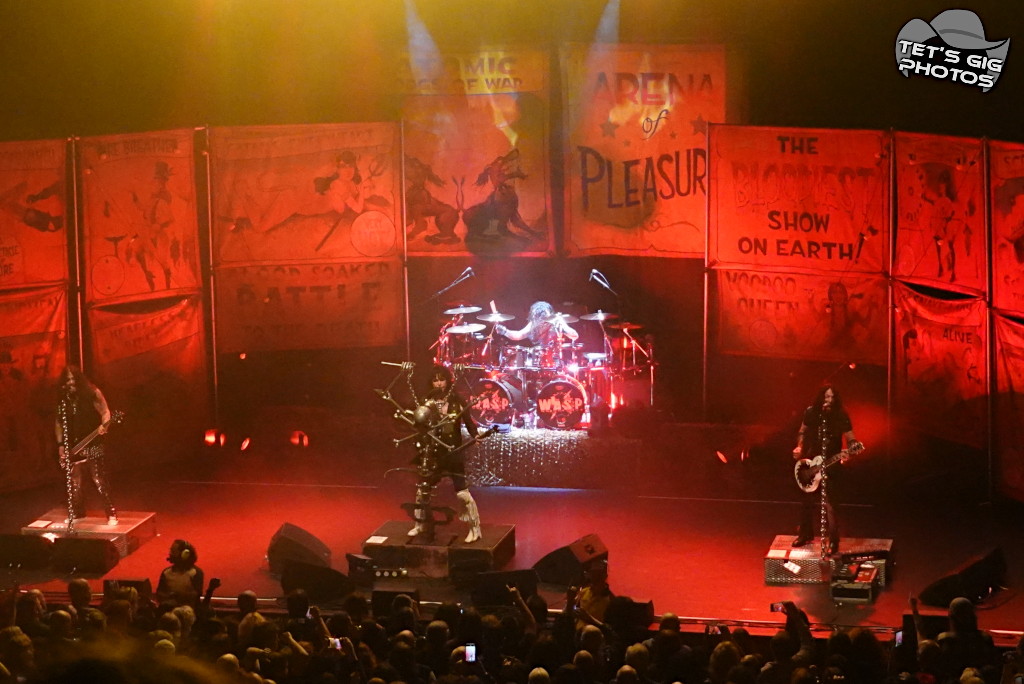 Photo: img/wasp14.jpg