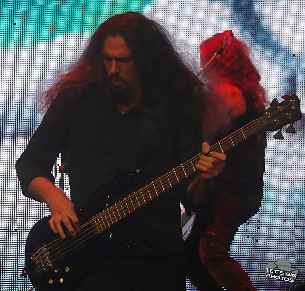 Photo: img/sonata02.jpg