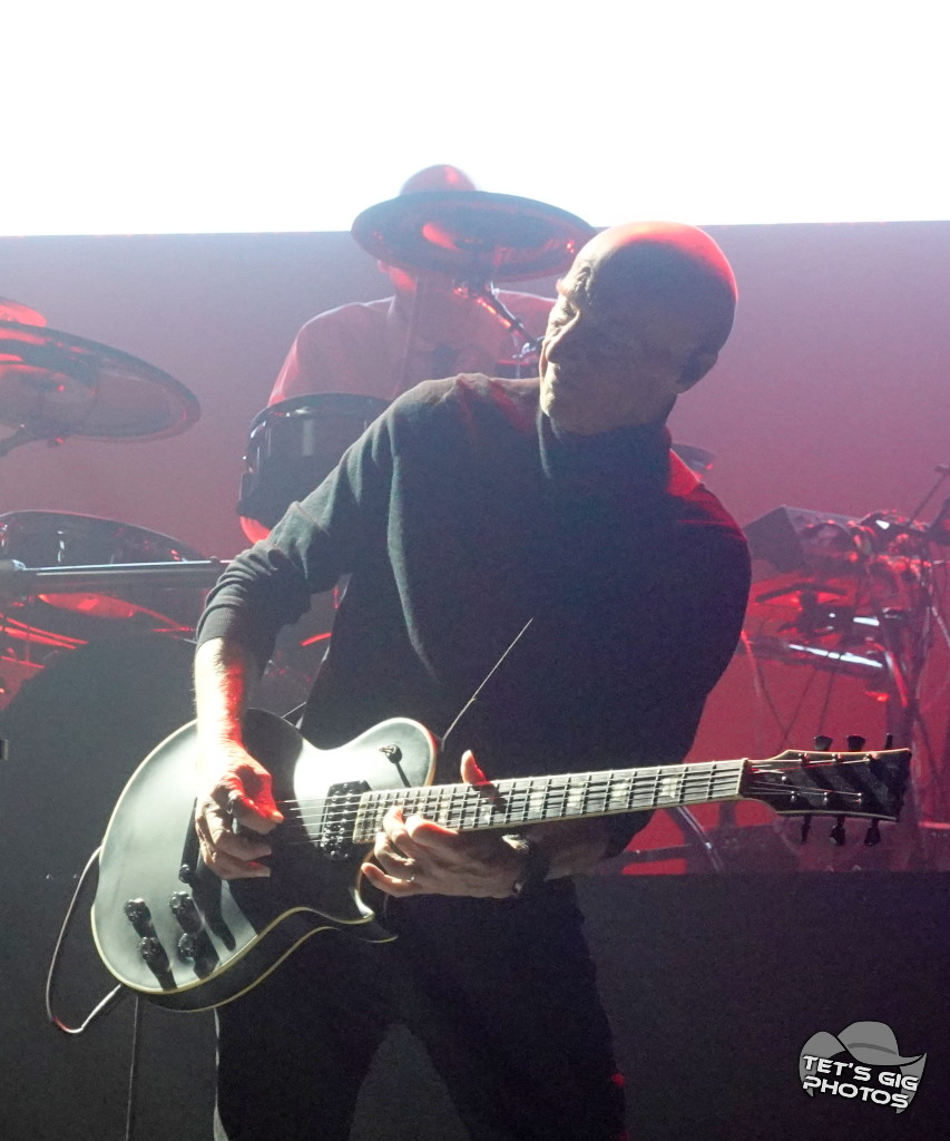 Photo: img/midge04.jpg