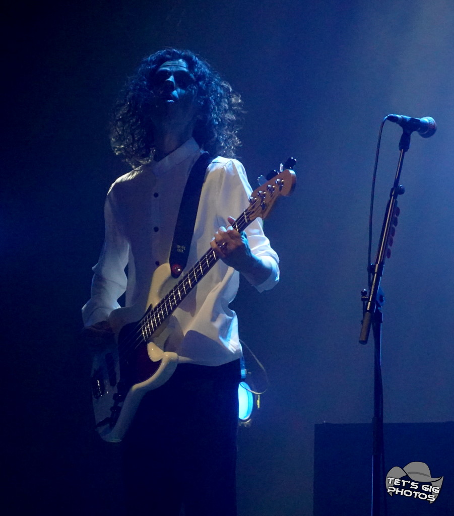 Photo: img/midge08.jpg