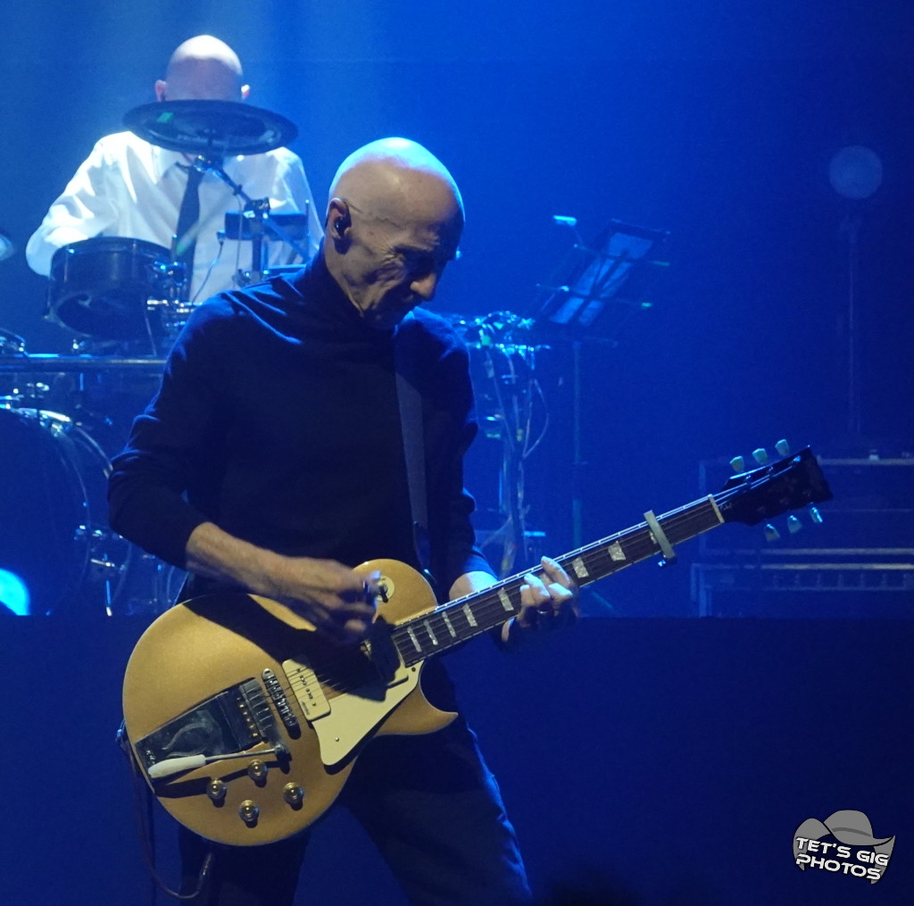 Photo: img/midge09.jpg