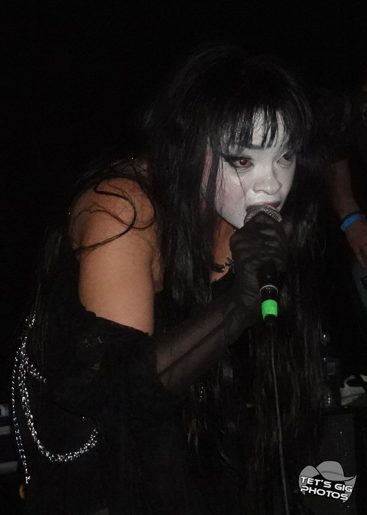 Photo: img/porc1.jpg
