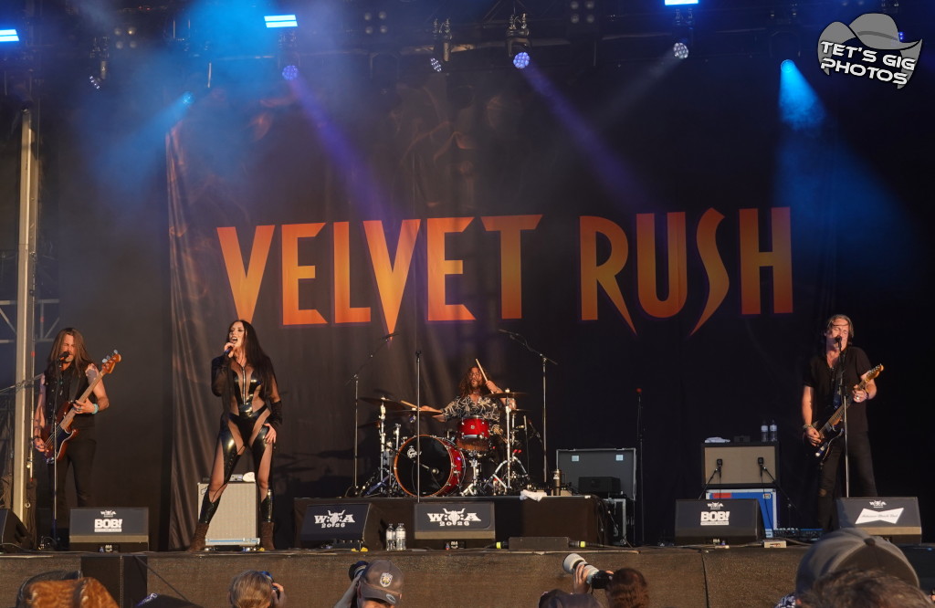 Photo: img/velvet13.jpg