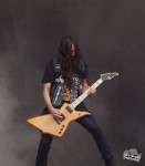bls6